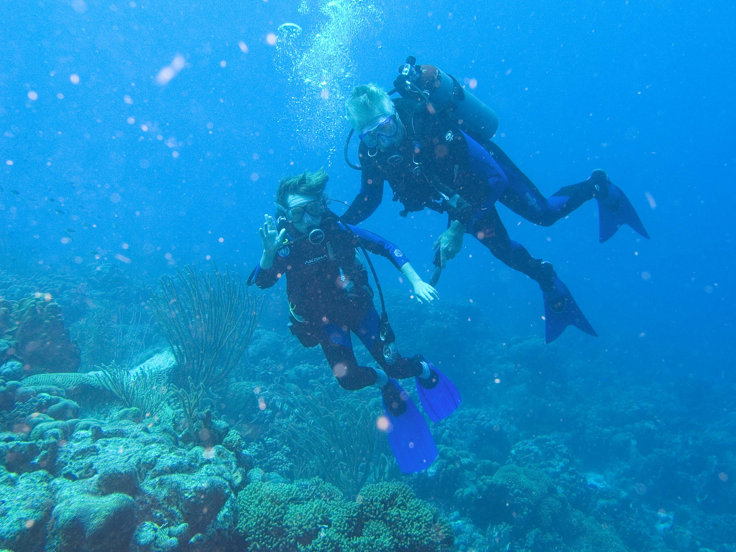 gal/Bonaire 2006/AndrewAndyCropped5x3.jpg